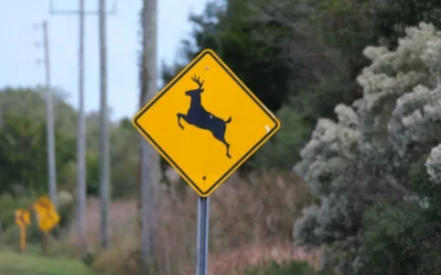 Yellow diamond deer crossing warning sign